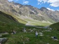 PXL_20240605_112752037.jpg
