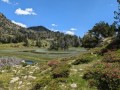 PXL_20240710_113349861.jpg